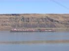 thumbs/Bardge on Columbia River.jpg